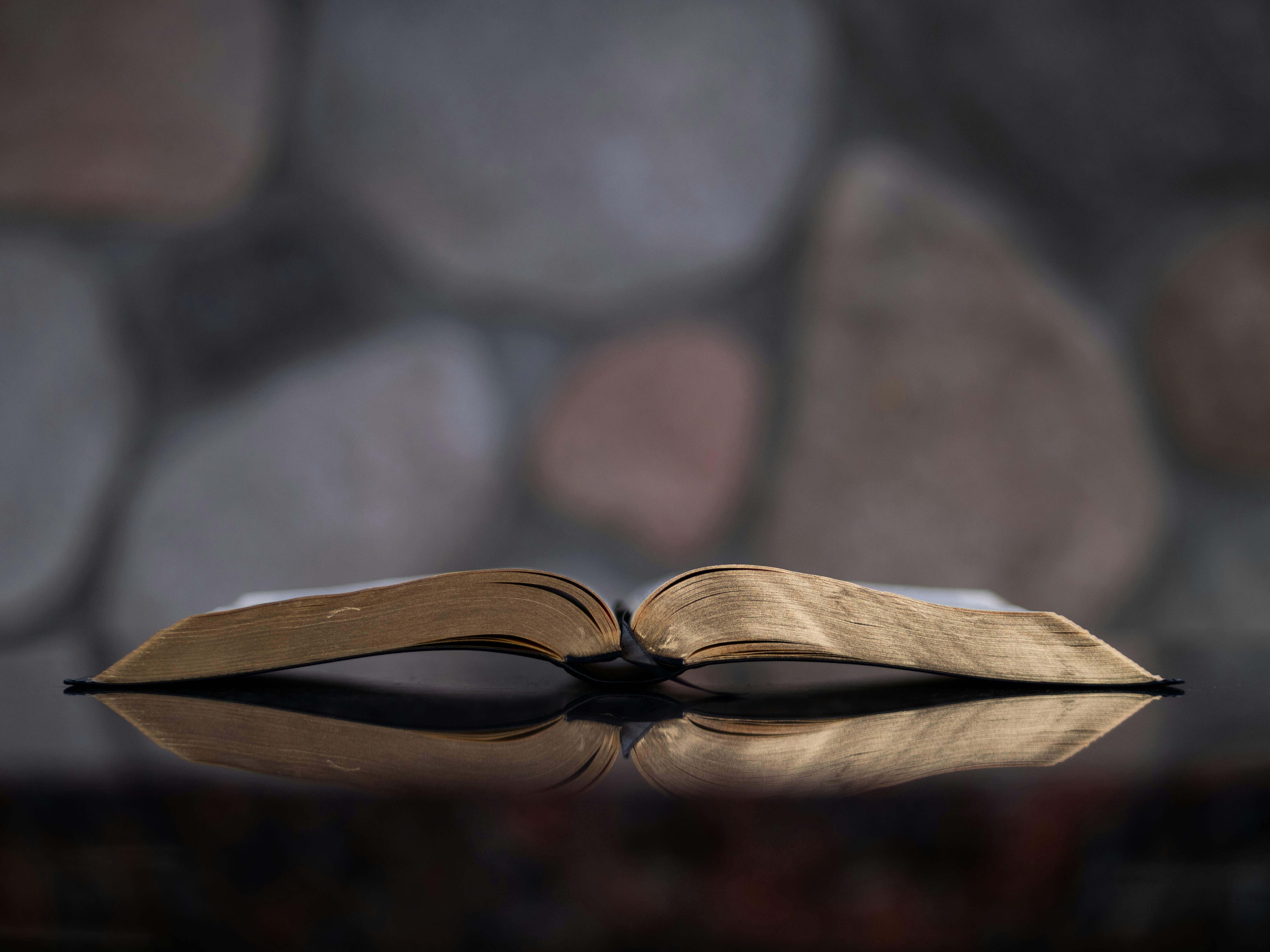 Image of a Bible laying on wood planks